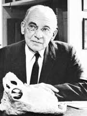 Edmund Beecher Wilson Biography