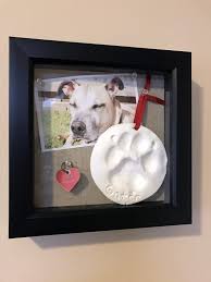 Pet Shadow Box How To Commemorate Your Lost Pet Pet Memorial Ideas Dogs Dog Shadow Box Pet Remembrance
