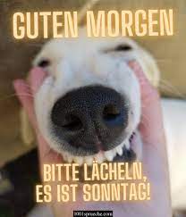 49 Guten Morgen Sonntag Spruche Bilder Sonntagsgrusse 2021
