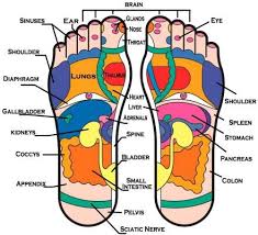 Chinese Face Map And Body Health Eruptingmind