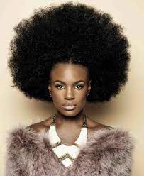 Frotastic Singer Shingai Shoniwa Natural Hair Beauty Natural Hair Styles Natural Hair Inspiration