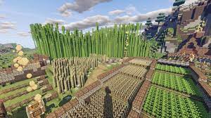 I finally just loaded up the seed as a new world in creative and after extensive searching, there isn't a jungle that i can find. Traveled 13 000 Blocks To Find A Jungle Biome To Get Bamboo Think It Was Worth It Minecraft