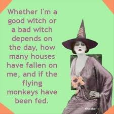 Are You A Good Witch Or A Bad Witch Whether I M A Good Witch Or A Bad Witch Depends On The Day How Many Houses Have Fallen On Me And Whether Or Not T The Worst Witch Funny Pictures Morning