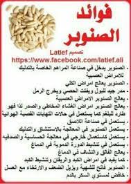 فوائد الصنوبر health fitness nutrition herbal shop health and nutrition
