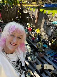 My backyard in Avon, Ohio, USA. My happy place in the summer 🌞