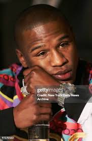 10.966 Hoya Hoya Stock Photos, High-Res Pictures, and Images