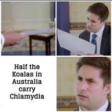 Look It Up If You Don T Believe Me Memes