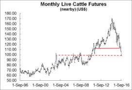 low prices and plenty of headwinds for cattle market hi