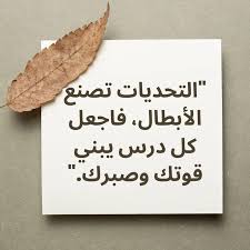 تنزيل كتاب الاضواء فى الرياضيات للصف الرابع الابتدائى pdf شرح الترم الثانى 2026 