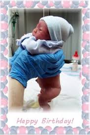 Birds And Bees Nursery Website Birds Bees Nursery Adopted Silicone Babies Life Like Baby Dolls Newborn Baby Dolls Real Life Baby Dolls