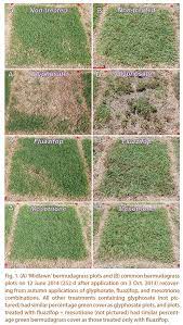 Jahoyle K State Turf And Landscape Blog