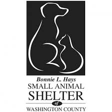 Maybe you would like to learn more about one of these? Rehoming Information Animal Services