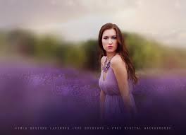 Discover 100+ free backgrounds designs on dribbble. Lavender Love Photo Overlays Free Gift Kimla Designs Photography