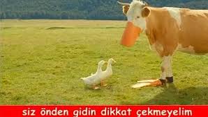 Mizahiyla Beraber Gelen Kurban Bayrami Ndan 19 Komik Caps Komik Mizah Caps
