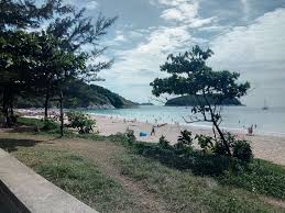 Originaire d'am?rique du sud, la passiflore ?tait tr?s utilis?e par les azt?ques. Afrique Ces Plantes Invasives Valent De L Or