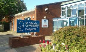 St David's Veterinary Hospital - Exeter
