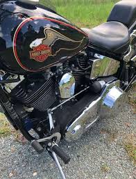 Image result for Bright Wineberry 1993 FXSTS