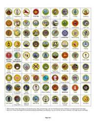63 Best Boy Scout Merit Badge Images Boy Scouts Merit