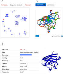 templates selection and visualization a an interactive