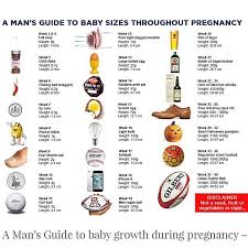 A Mans Guide To Baby Size Week By Week Baby Size Chart