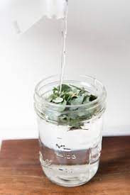 Ridiculously Easy Diy Eucalyptus Linen Spray Compost And Cava