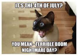 Pin On Independence Day Quotes