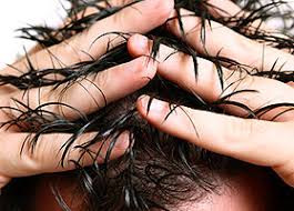 Haarsprechstunde Zu Ursachen Und Therapien Von Haarausfall