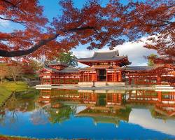 平等院紅葉的圖片