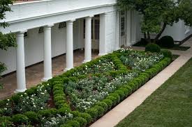 Rose trees, also known as rose standards, can be quite lovely and attractive if well cared for and tended to. The Full Story Behind The Controversial Rose Garden Redesign Architectural Digest