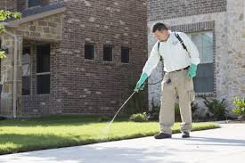 Find the best pest control in dallas, tx. Best Pest Control Mckinney Tx Services Safe Pro Pest Control