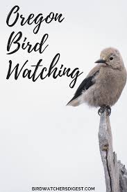 Pin On Places To Go Birding