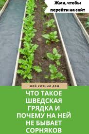 что можно сделать из старой ванны на даче фото Dacha Ogorod V 2020 G Organicheskoe Sadovodstvo Sadovye Gryadki Sadovye Idei