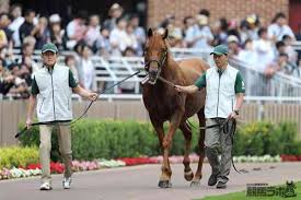両雄再会 グラスワンダーとスペシャルウィークがお披露目 競馬ニュース 競馬ラボ