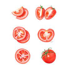 Different Ways To Slice A Tomato Mixed Media Illustration On Canson Imagine Paper C Miriam Figuera Food Illustration Design Food Illustrations Fruits Drawing