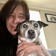 What dog boarding options in Stanly County don't require vaccines?