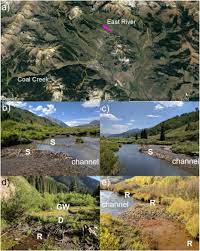 We did not find results for: Return Flows From Beaver Ponds Enhance Floodplain To River Metals Exchange In Alluvial Mountain Catchments Sciencedirect