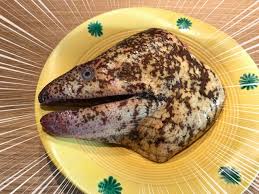 いろんなウツボ料理が食べられる タタキと竜田揚げしか食べたことがない筆者が食べに行ってみた結果 喰いもんやこの葉 メシ通 ホットペッパーグルメ
