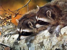 Find and download animal desktop backgrounds on hipwallpaper. 48 Free Animal Winter Desktop Wallpaper On Wallpapersafari