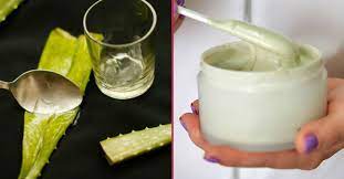 cildiniz nemlensin yumusacik olsun evde aloe vera krem nasil yapilir yemek aloe ve dogal guzellik ipuclari
