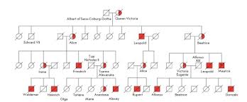 Other medical professionals to assess families and try to spot patterns or indications which may. Exploring Genetics By Creating A Family Pedigree Kristin Moon Science