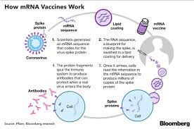 Learn about our investigational vaccine candidate, novavax #vaccine technology. Post Pandemic Fights Loom Over Ownership Of Covid 19 Technology