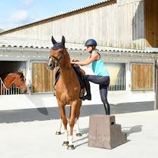 Comment Apprendre L Arret A Son Cheval