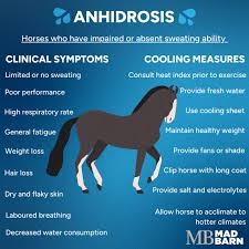 Image result for Anhidrosis