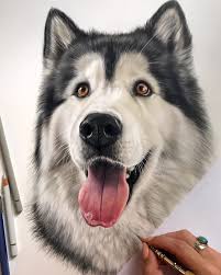 Realistic Drawing By Kelly Lahar Dog Portraits Art Animal Drawings Realistic Drawings