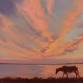 Plein Air Painting the Assateague Back Country event image