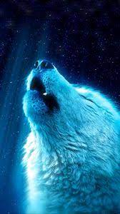 Download winter animal wallpaper wide for iphone, pc desktop, android, or mac. Animals Wallpapers Iphone 8 7 6s 6 For Parallax Desktop Backgrounds Hd Pictures And Images