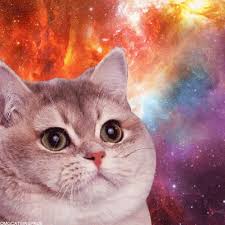 Maybe you would like to learn more about one of these? Heavy Breathing Cat Gif Heavybreathing Cat Space Discover Share Gifs