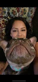 Spring Valley Veterinary Clinic, 9973 Campo Rd, Spring Valley, CA 91977, US 