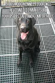 5 Best Dog Kennel Floorings Reviewed To Make Sure Your Pet Is Safe And Comfortable From Findmats Com Dog Kennel Flooring Dog Kennel Outdoor Puppy Kennel