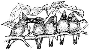 Bird Sitting On Branch Drawing Birds On Branch Bird On Branch Vintage Prints Bird Feathers